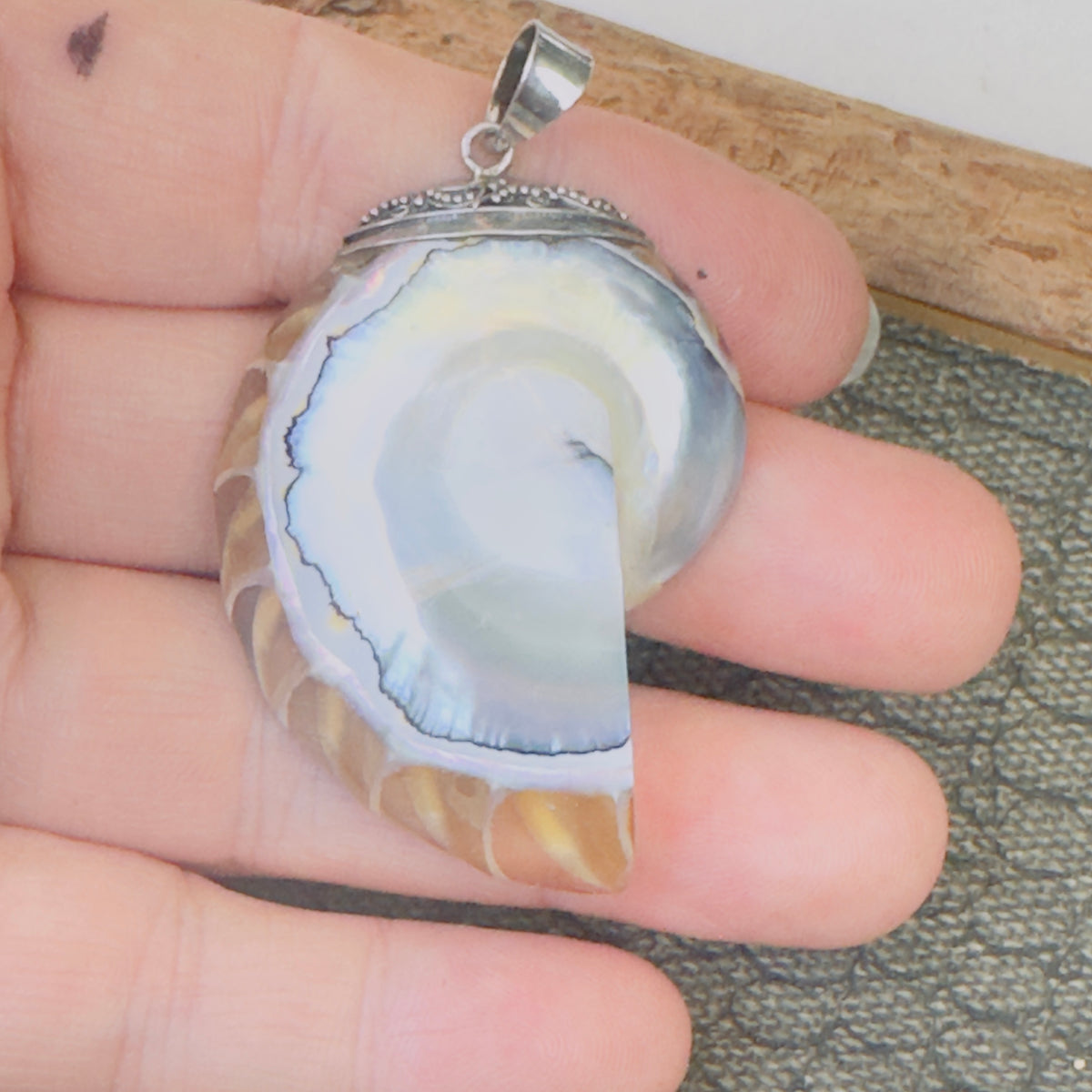 Sale - 2" Nautilus Shell Sterling Silver Pendant Necklace (18")