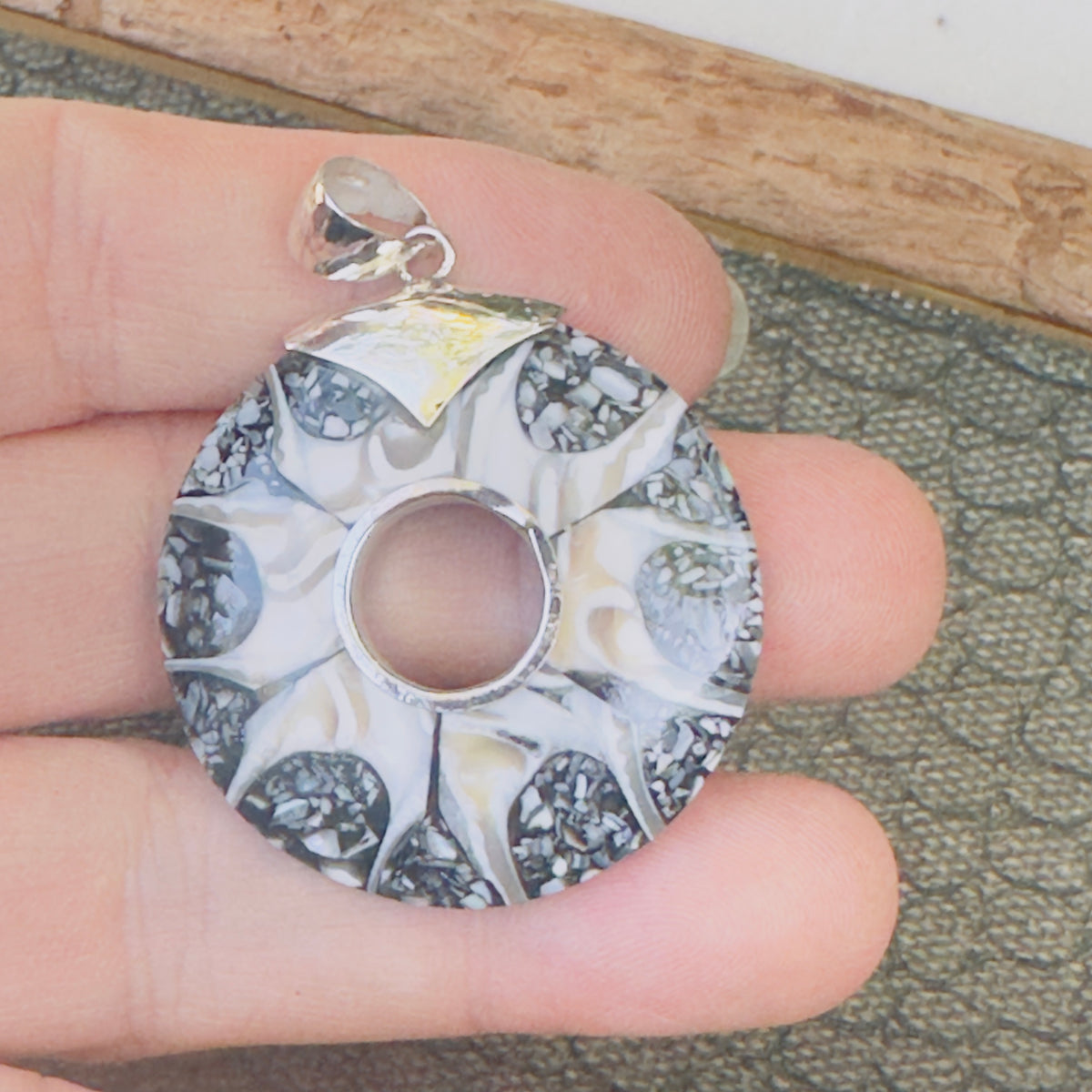 Sale -  2.3" Brown Spider Nautilus Shell Sterling Silver on 18" Sterling Silver Chain