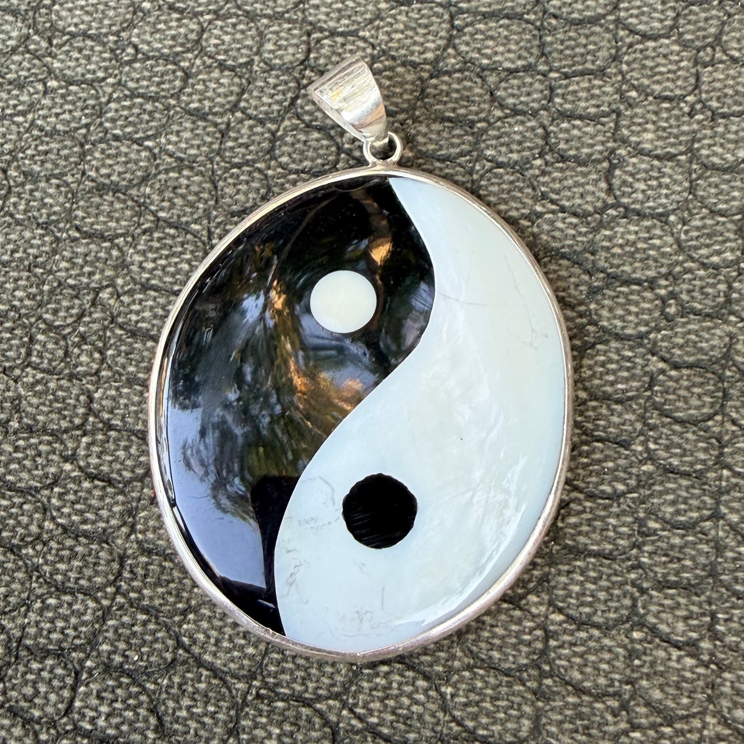 Sale - 2.3" Nautilus Shell Resin Sterling Silver on 18" Sterling Silver Chain