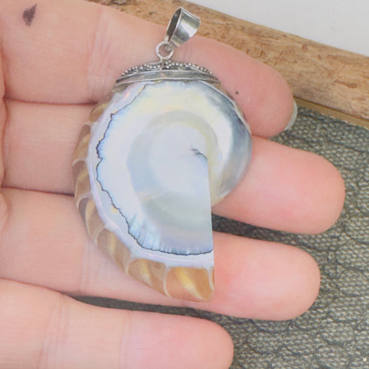 Sale -  2" Nautilus Shell Sterling Silver Pendant Necklace (18")