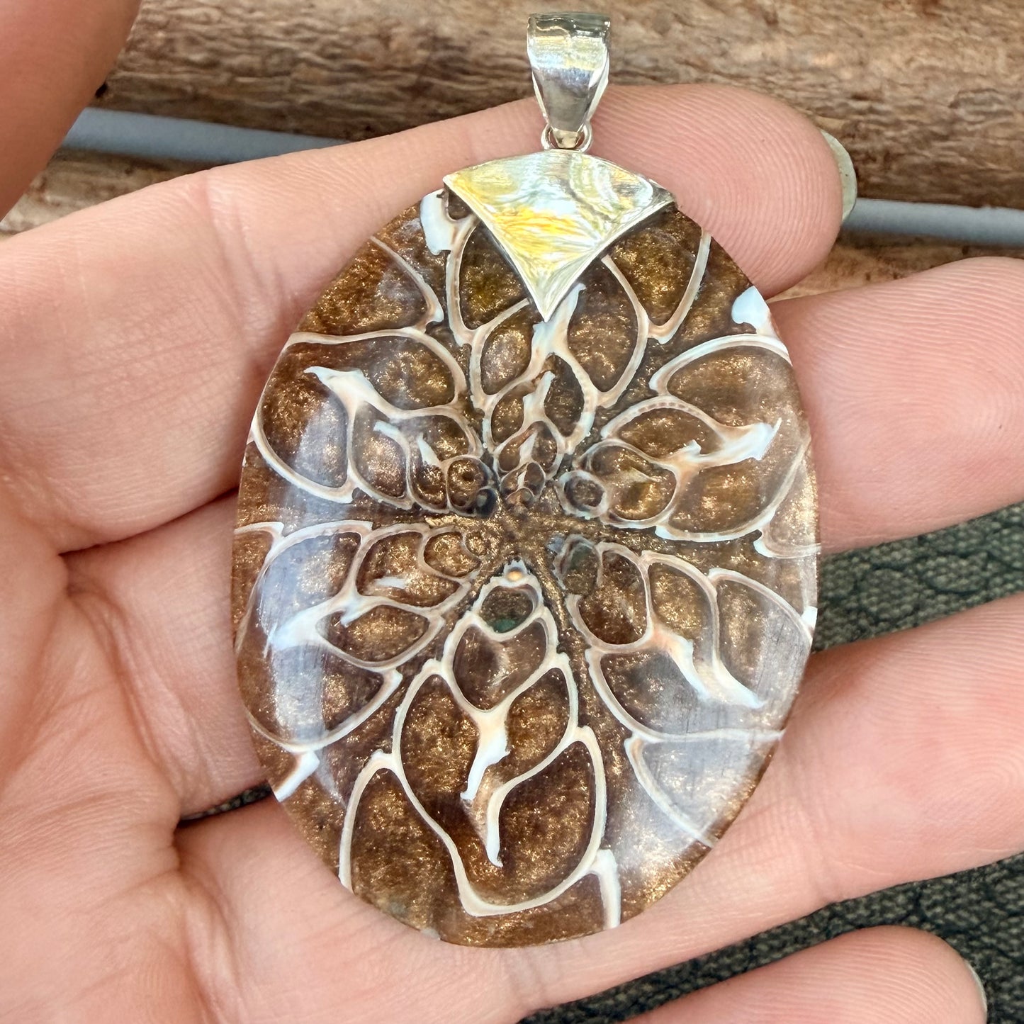Sale - 2.2" Nautilus Shell Resin Sterling Silver on 18" Sterling Silver Chain