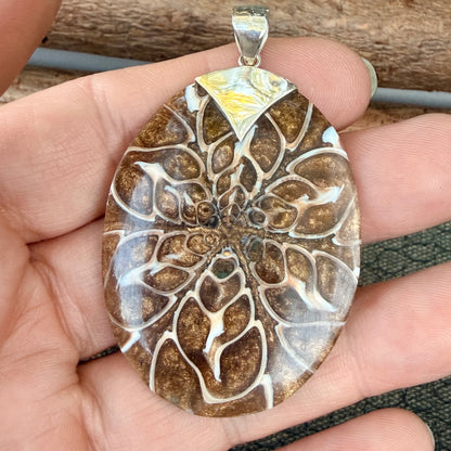Sale - 2.2" Nautilus Shell Resin Sterling Silver on 18" Sterling Silver Chain