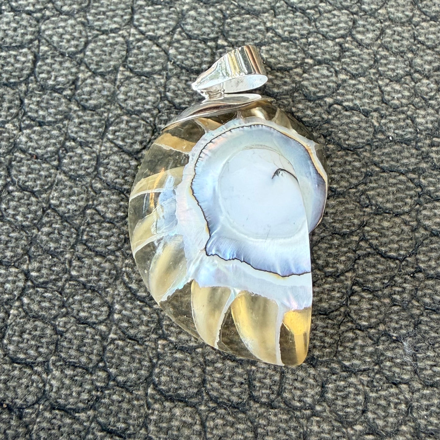 Sale - 1.4” Nautilus Shell Sterling Silver on 18" Sterling Silver Chain