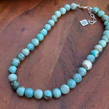 Load image into Gallery viewer, Terra Aqua Jasper Sterling Necklace (18-20&quot;)
