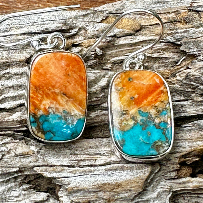 E0720  Turquoise Spiny Oyster Sterling Earrings (1.3”)