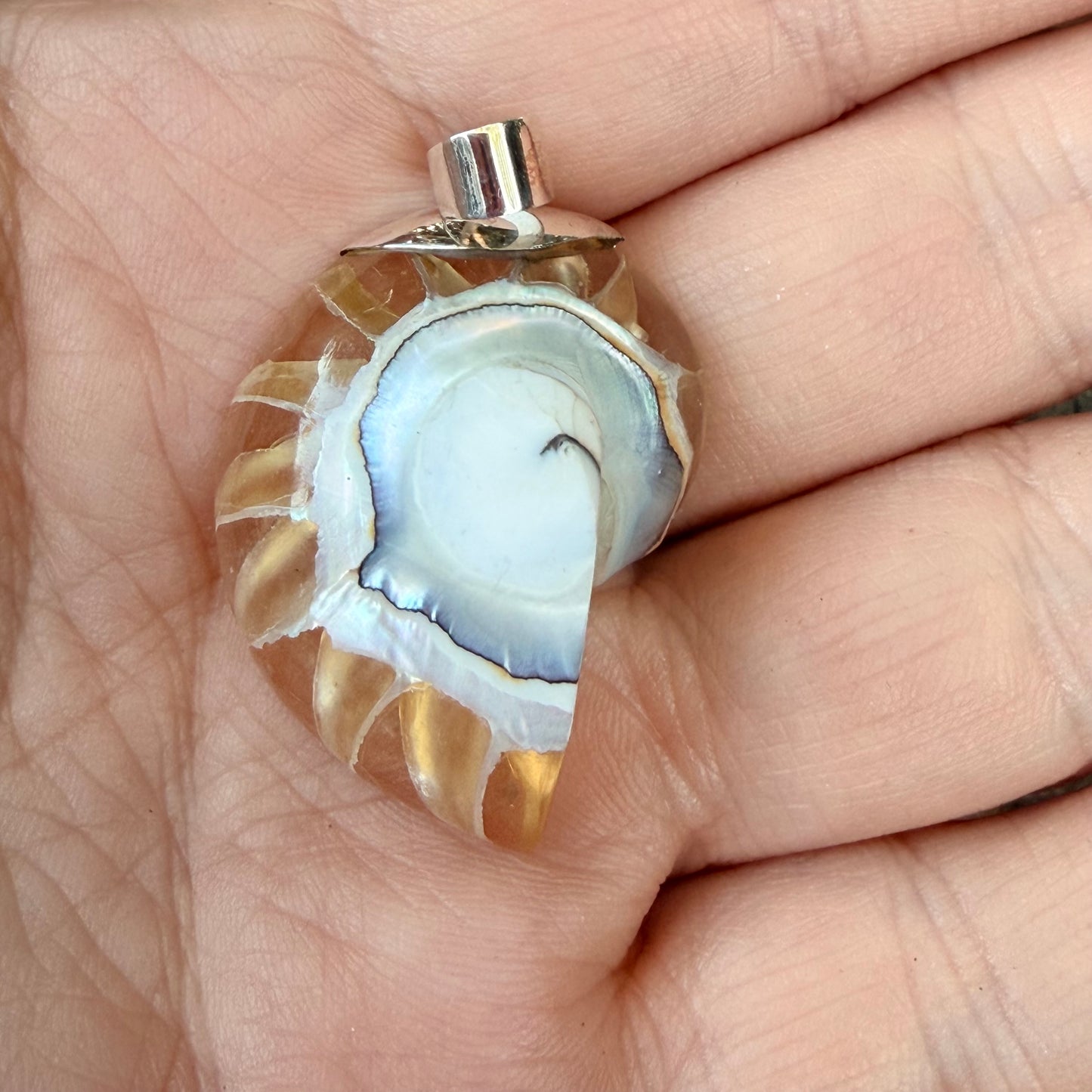 Sale - 1.4” Nautilus Shell Sterling Silver on 18" Sterling Silver Chain