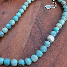 Load image into Gallery viewer, Terra Aqua Jasper Sterling Necklace (18-20&quot;)
