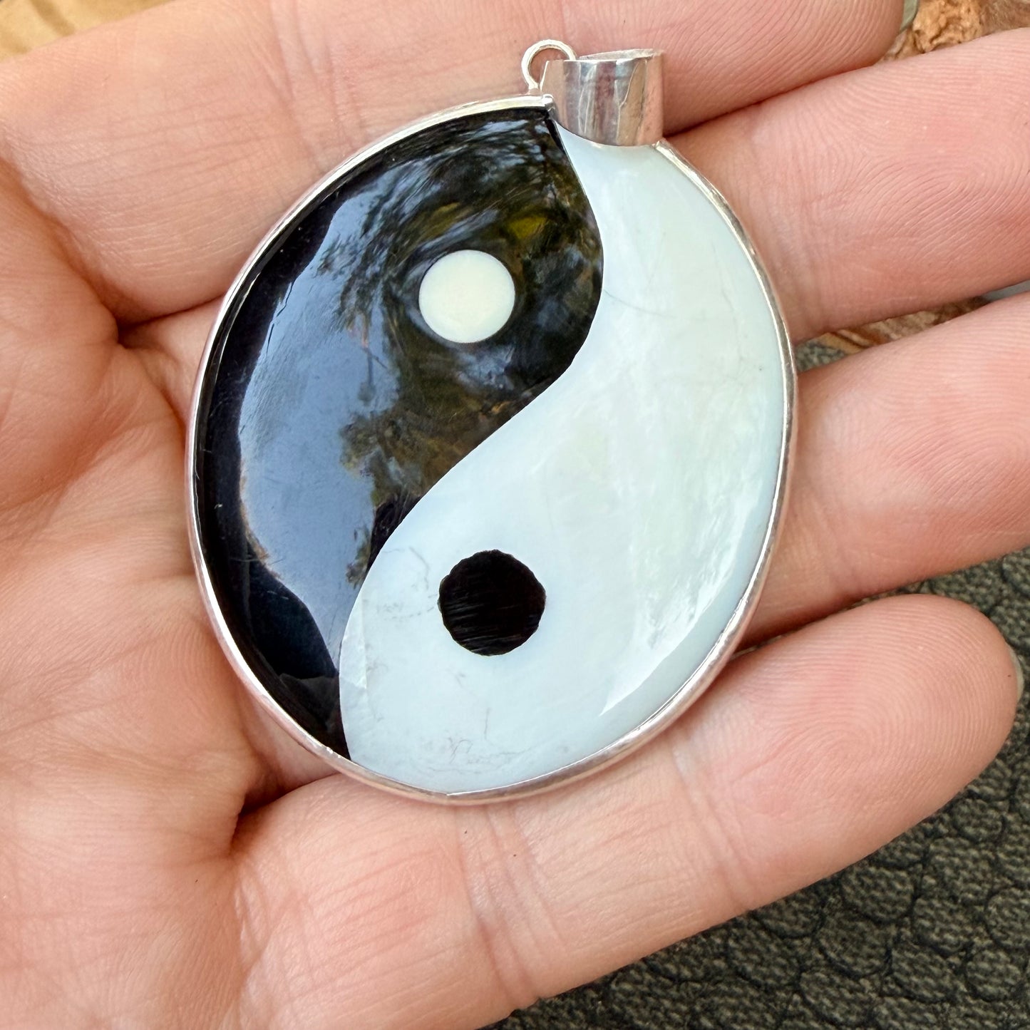 Sale - 2.3" Nautilus Shell Resin Sterling Silver on 18" Sterling Silver Chain