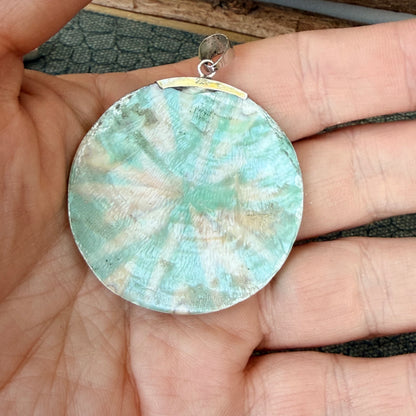 Sale - 2.2" Nautilus Shell Resin Sterling Silver on 18" Sterling Silver Chain