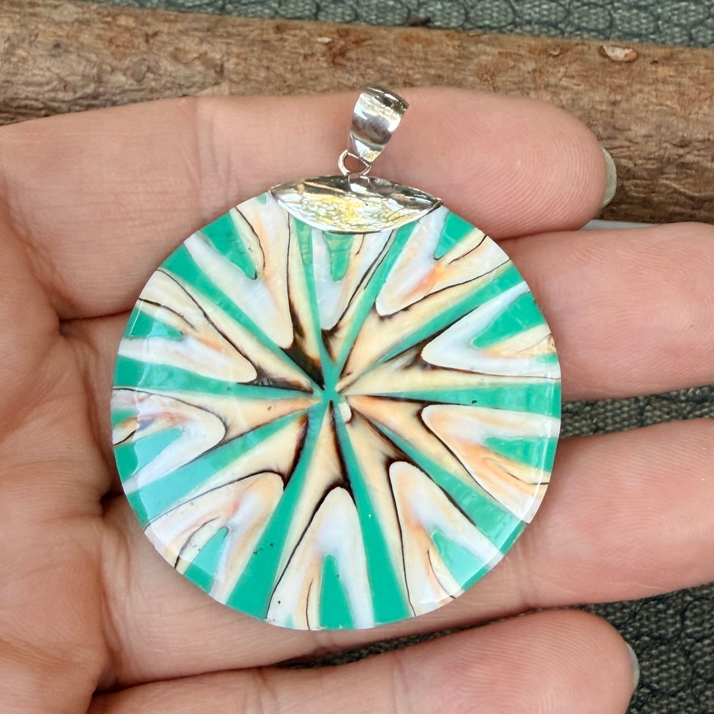 Sale - 2.2" Nautilus Shell Resin Sterling Silver on 18" Sterling Silver Chain