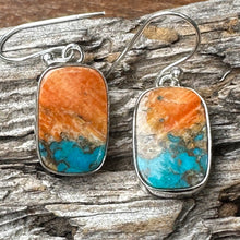 Load image into Gallery viewer, E0720  Turquoise Spiny Oyster Sterling Earrings (1.3”)
