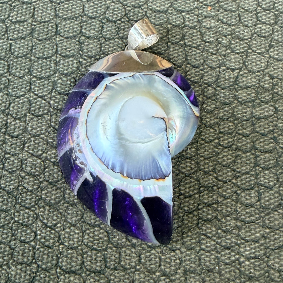 Sale - 2” Nautilus Shell Sterling Silver on 18" Sterling Silver Chain